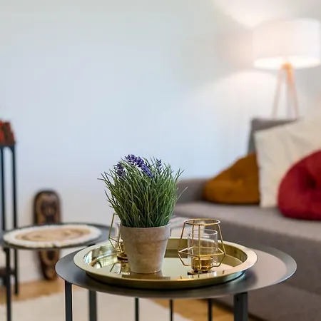 Og1 M 70m2 Grosse 2-zimmer Naehe Salzburg